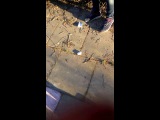 встретили незнакомую девочку